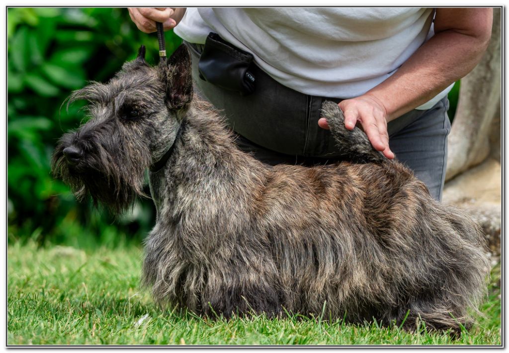 Voilà c'est fini du Clan des Petits Colonels