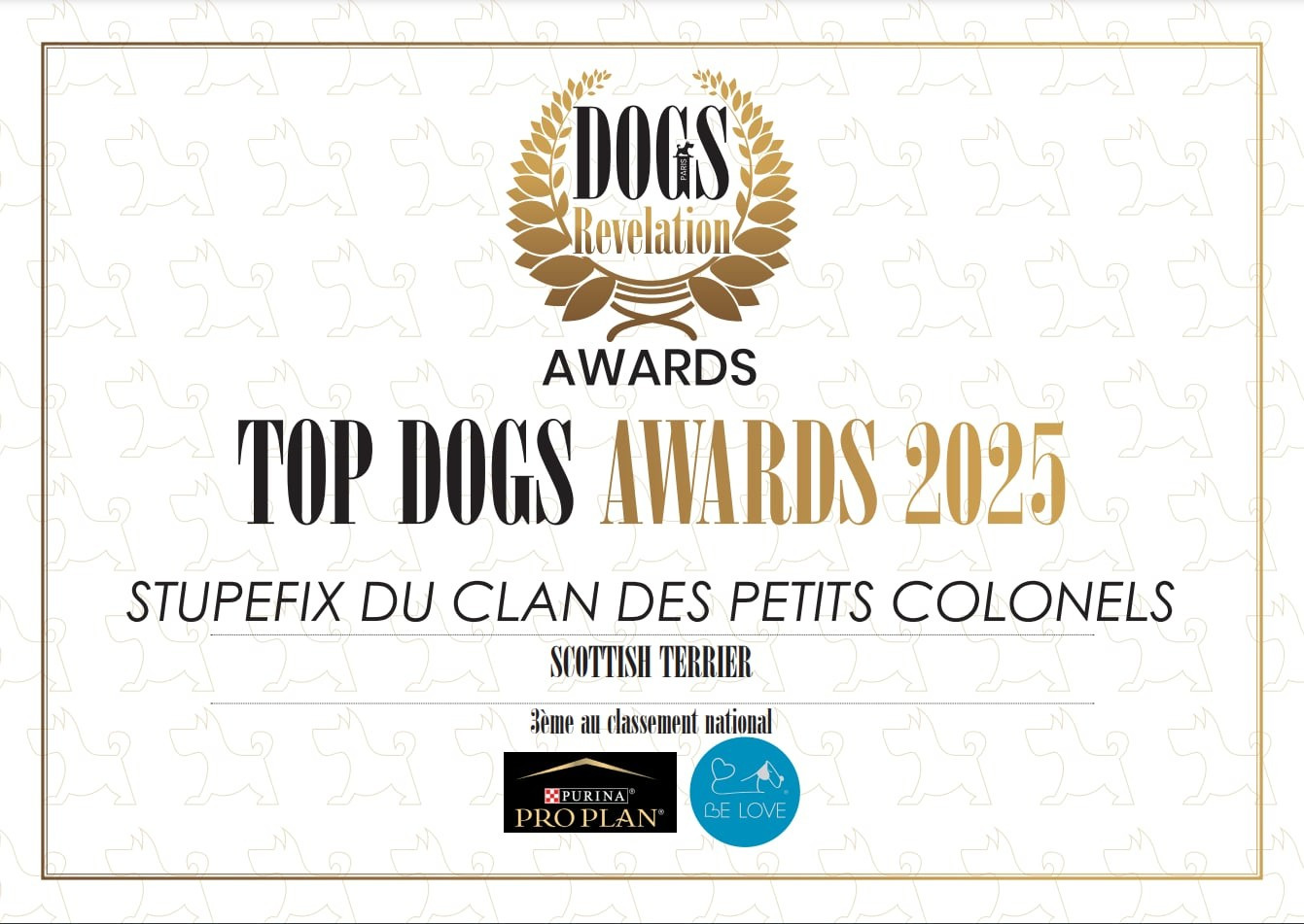 Stupéfix .... la TOP Petits Colonels