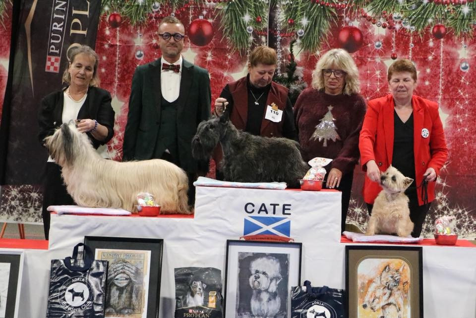 Nationale d'Elevage 2025