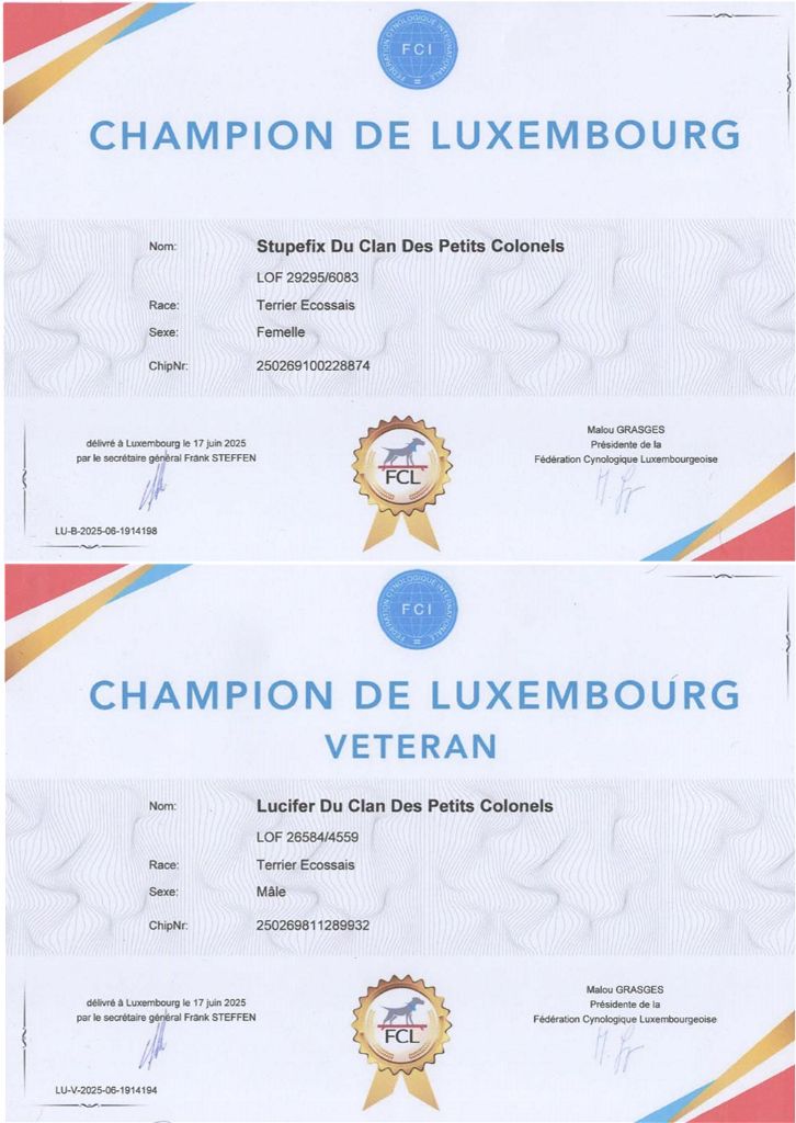 2 nouveaux titres de CHAMPION pour LE CLAN DES PETITS COLONELS 